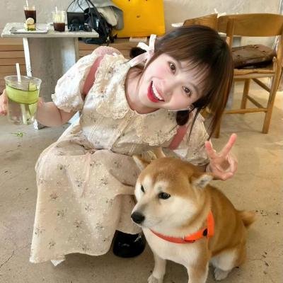 密探海芮：部落格大战封面